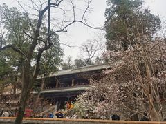 -潭柘寺景区
