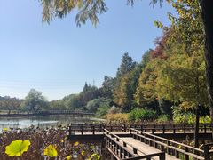 -铭莲·八卦田水上餐厅