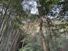 -敬亭山风景名胜区