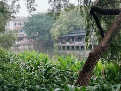 -荔湾湖公园