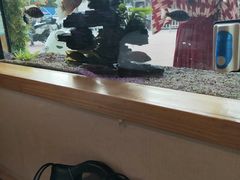 -悦和餐厅(CBD玉米楼店)