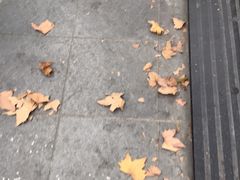 -乔家栅(襄阳南路店)
