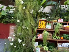 -蘑界·野生菌火锅(深业上城店)