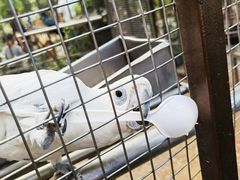 -南宫五洲植物乐园