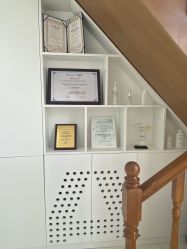 -安那般那皮肤年轻化ANAPANA