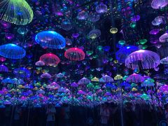 -梵高星空艺术馆(北京旗舰店)