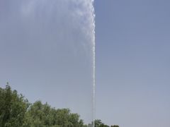 -武汉紫薇都市田园