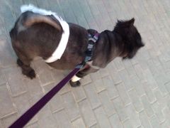 北京康乐宝动物医院-康乐宝动物医院