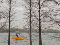 -迪士尼小镇