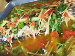 活渡花鲢-蜀江春(科华北路店)