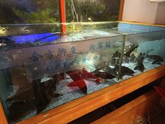 -回头食客-李久其家民间餐厅(望城金桥国际店)