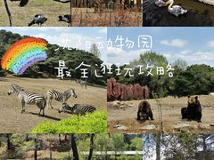 -沈阳森林动物园