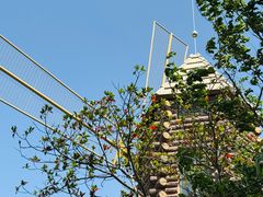 -昆山城市生态森林公园