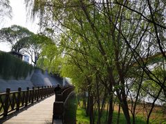 -沙澧河风景区