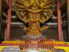 -上海东林寺(金山区)