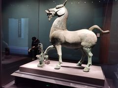 -广西壮族自治区博物馆