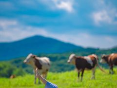-松花湖风景名胜区