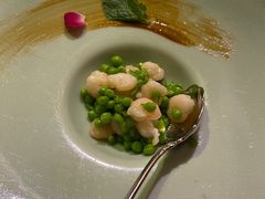 -西郊5号·Maggie 5