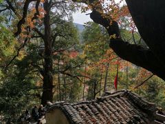 -塔川景区