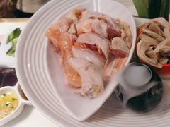 -洪氏嗨捞·猪肚鸡火锅(阳光天地店)