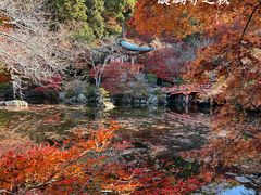 -醍醐寺