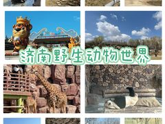-济南野生动物世界