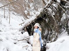 -峡谷浮石林景区