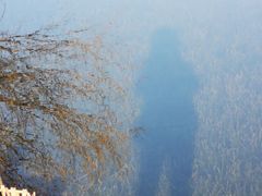 -前小桔亲子创意农场·草莓采摘·露营烧烤