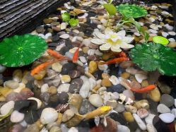 -芳朵美容养生SPA