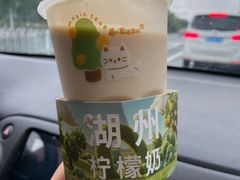 -猫的魔法密林(衣裳街店)