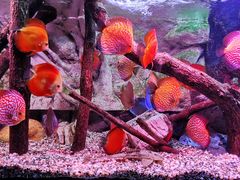 -上海海洋水族馆