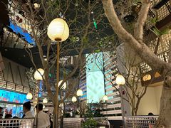 -桂满陇·海市蜃楼·黑金(国金店)