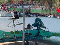 -西霞口神雕山野生动物世界