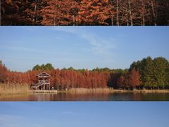 -虎丘湿地公园