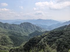 -大岭沟猕猴桃谷风景区