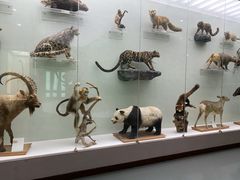 -国家自然博物馆