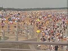 -日照海滨国家森林公园