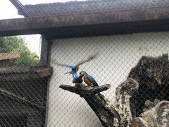 -南昌动物园