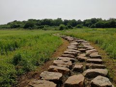 -盘龙城国家考古遗址公园