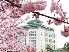 -武汉大学-樱园