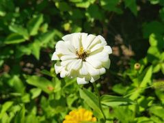 -杜氏旅游度假区