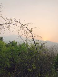 -木北造型