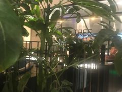 -大树餐厅(红旗街万达店)