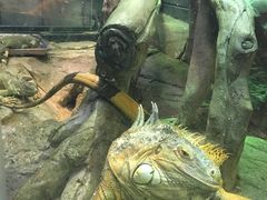 -福州罗源湾海洋世界旅游区