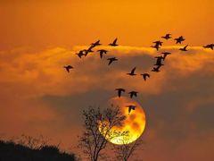 -仙海旅游度假区