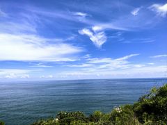 -广东惠东海龟国家级自然保护区