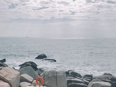 -广东惠东海龟国家级自然保护区