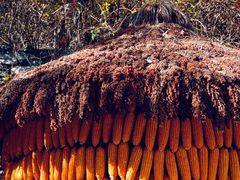-周口店坡峰岭风景区