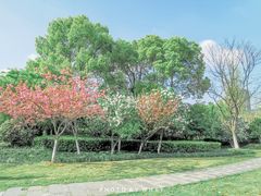 -杭州城北体育公园