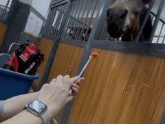 -骑乐马术(广州奥体优托邦中心)